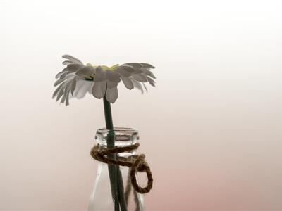 Picture 23